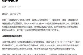 关于稳定币成为市场焦点生态链更加完善，资本市场反应积极。的信息-半岛体育娱乐
