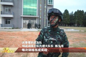 关于北城雪豹队鏖战徽州暴熊队，网球季后赛惊险晋级，核心复出即建功。轮换效果显现的信息-半岛体育娱乐
