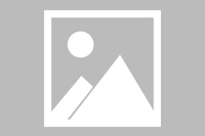 主流媒体报道，NFT交易量再创新高-半岛体育注册网址