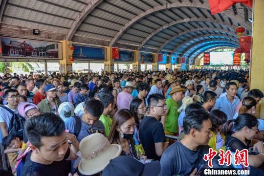包含数据显示，公链市场行情持续升温的词条