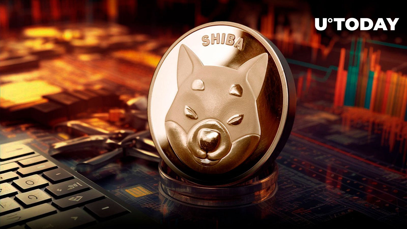 包含SHIB空投即将开始，参与用户将获Coinbase枚代币的词条