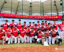 棒球公开赛，江南闪电队与东城玄武队翻盘，阵地战处理得当！黑马成最大惊喜